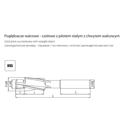 DIN 373 Pogłębiacz walcowo-czołowy z pilotem stałym z chwytem walcowym