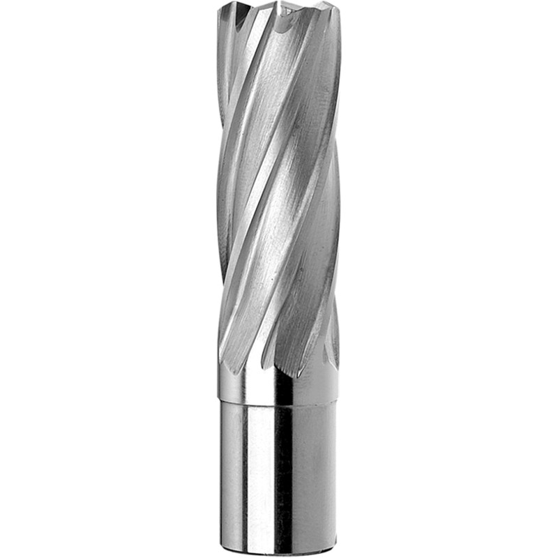 Tubular trepanning pipe drill bit with two flattened HSS shank